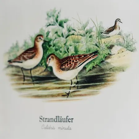 Kuesten Tannenhausen *