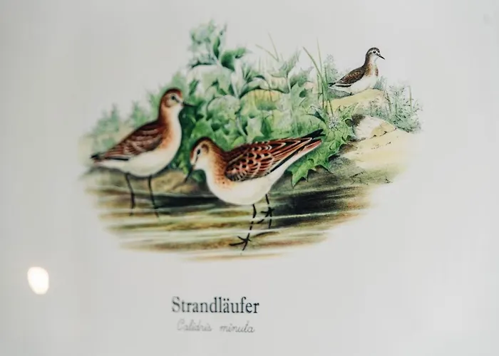 Kuesten Tannenhausen *